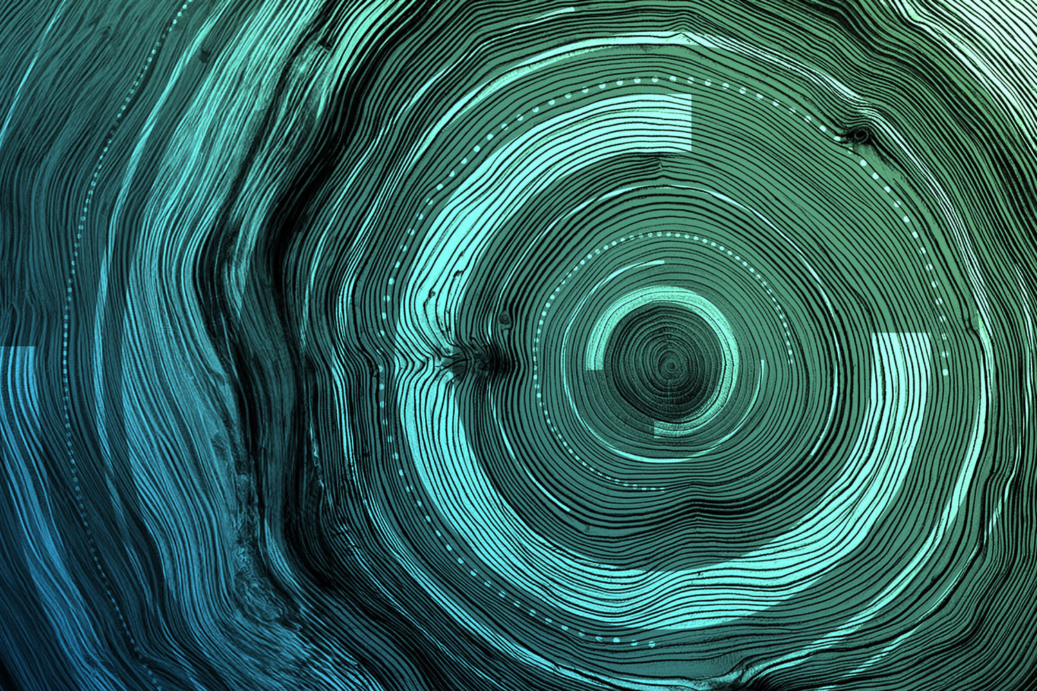 An illustration of tightly drawn concentric circles in shades of green, resembling a thumbprint.