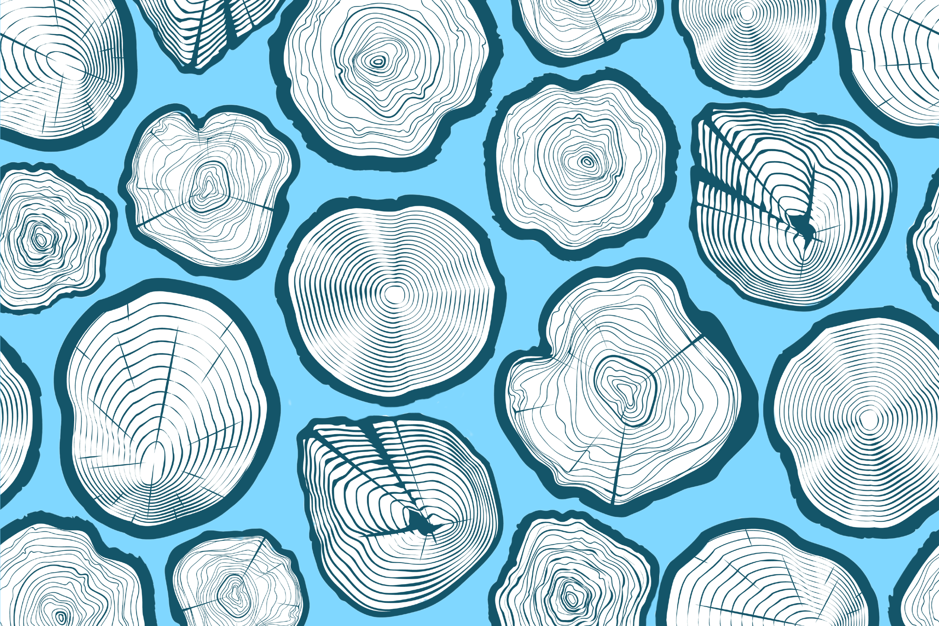 A pattern of tree trunk rings. It represents digital equity for older adults.