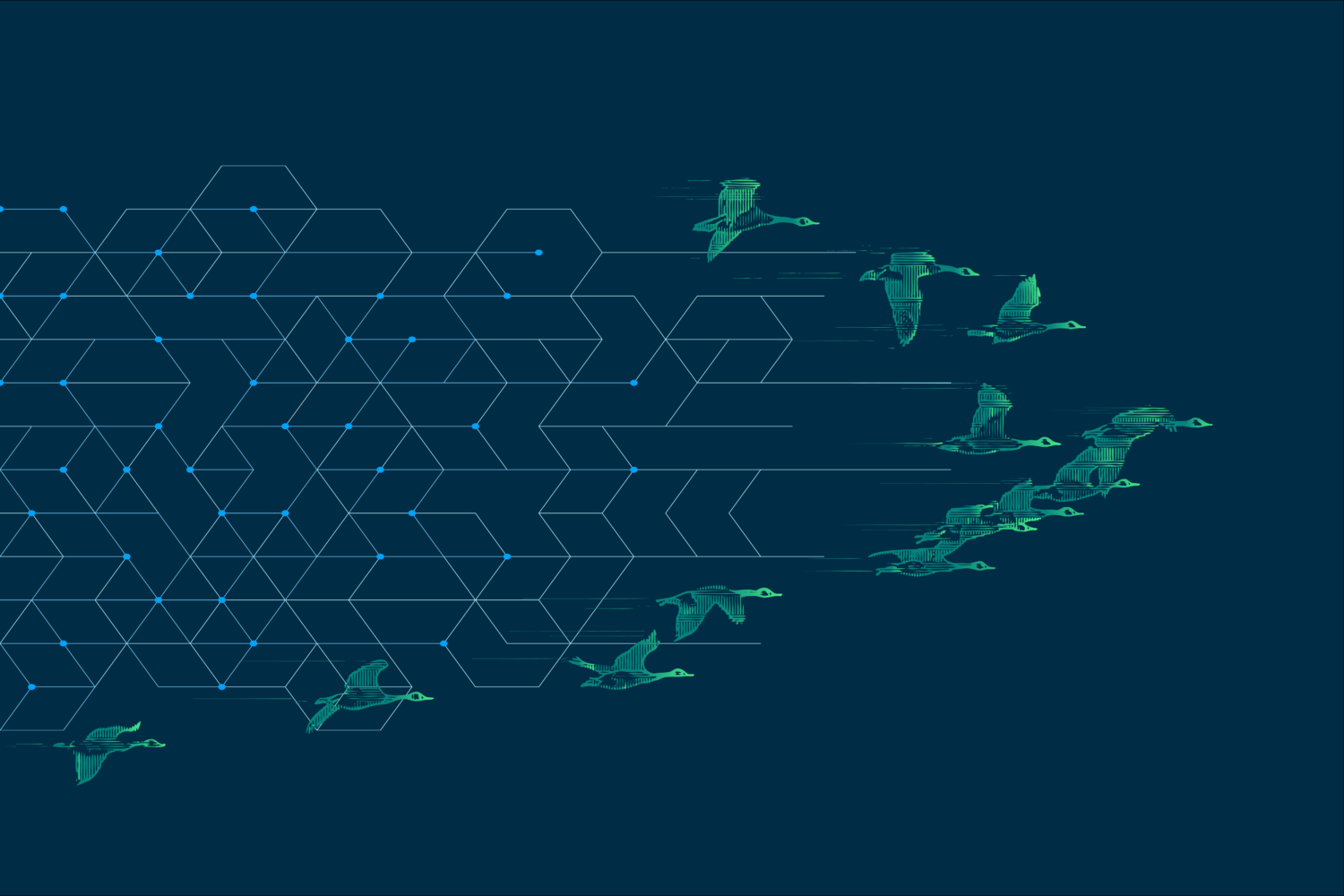 An illustration of Canadian geese flying through a digital landscape.