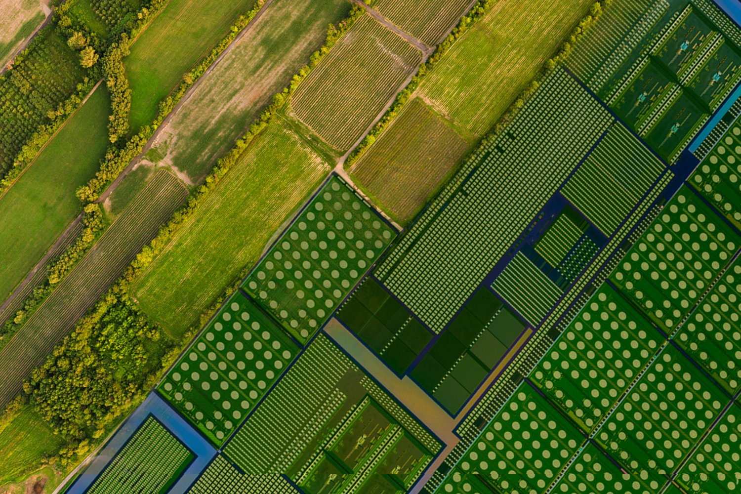 Digital collage of circuit board and aerial shot of farmland. It represents the future of AI in food security.